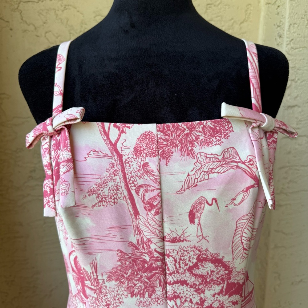 Mestiza New York Calista Midi Dress 10 Pink/Ivory Tropical Toile NWT - Picture 7 of 15